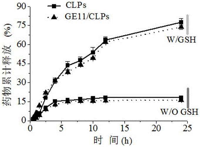 Ovarian cancer specifically targeted biodegradable amphiphilic polymer, polymer vesicle prepared from same and application of amphiphilic polymer