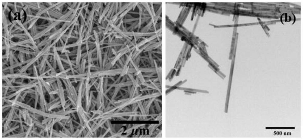 Cadmium sulfide nanorod and method for friction catalytic degradation of organic pollutants