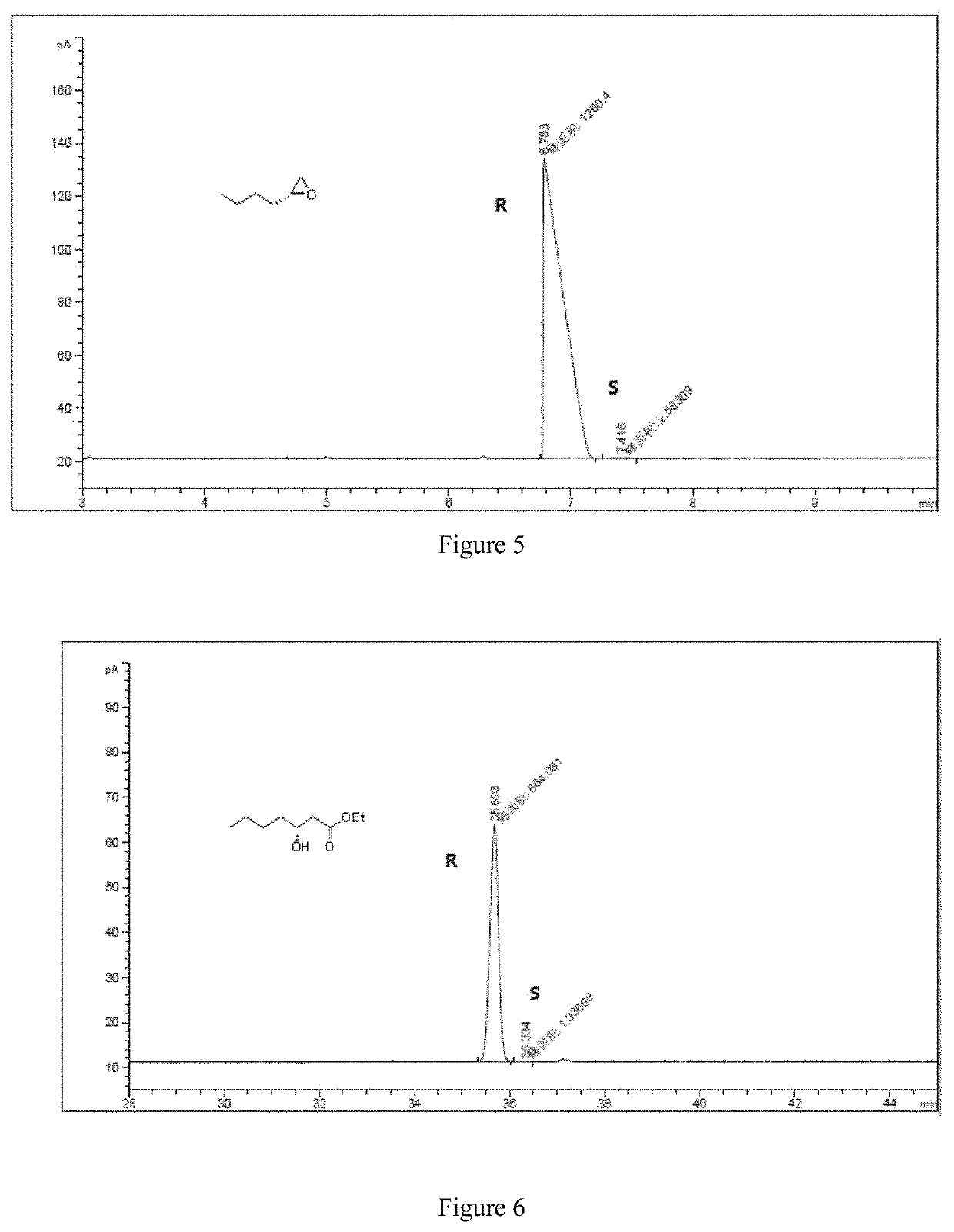 Method for preparing a β-hydroxycarboxylic acid ester