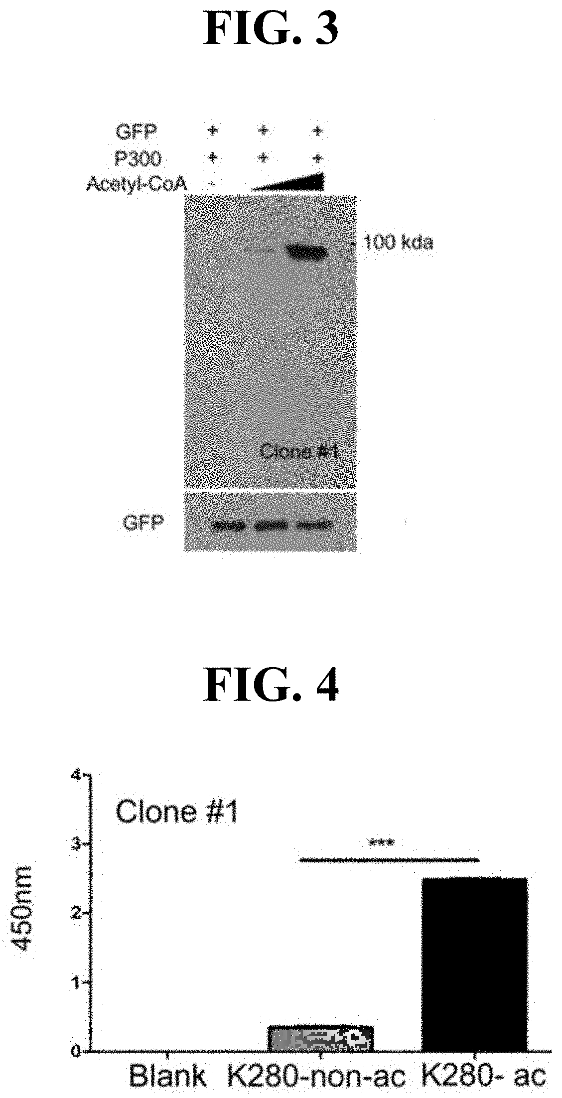 Anti-tau antibody and use of same