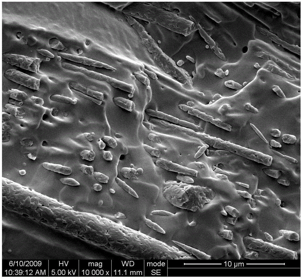 In-situ fibrillation technology-based degradable polymeric blend material, and preparation method and application thereof