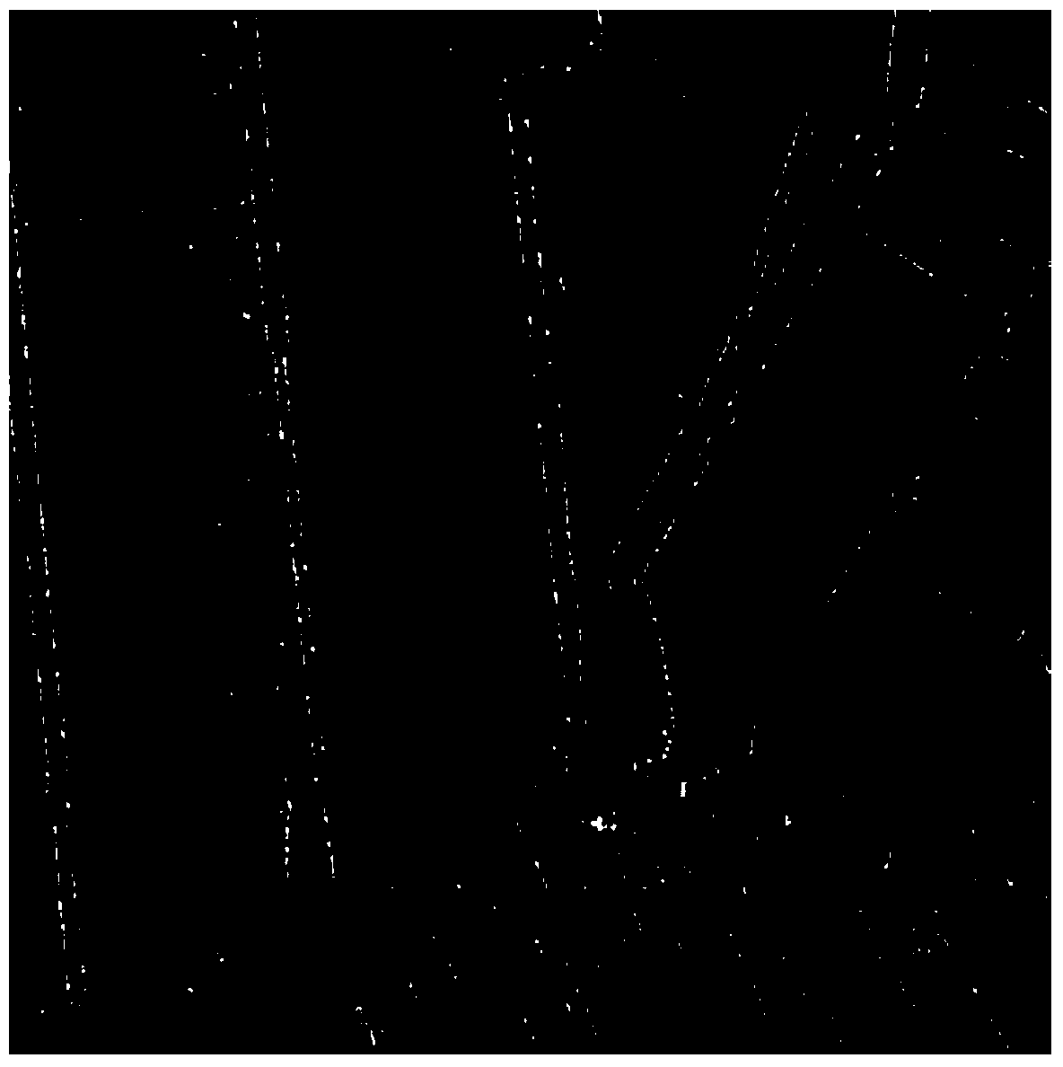 SAR image registration method based on straight lines and FFT