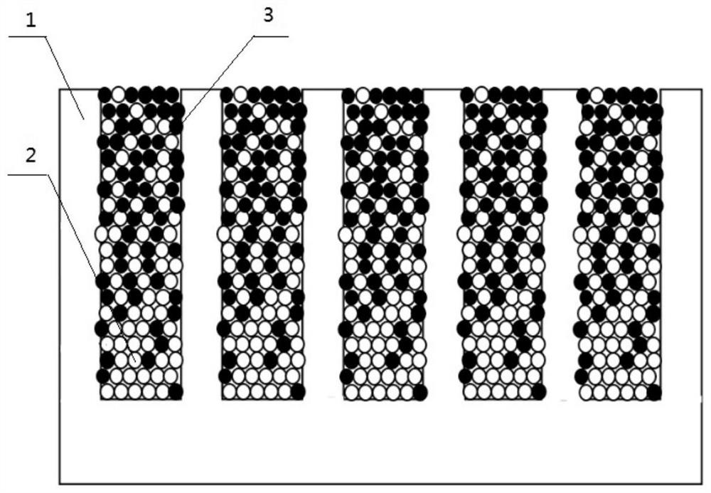 A kind of negative electrode for lithium secondary battery and preparation method thereof and lithium secondary battery