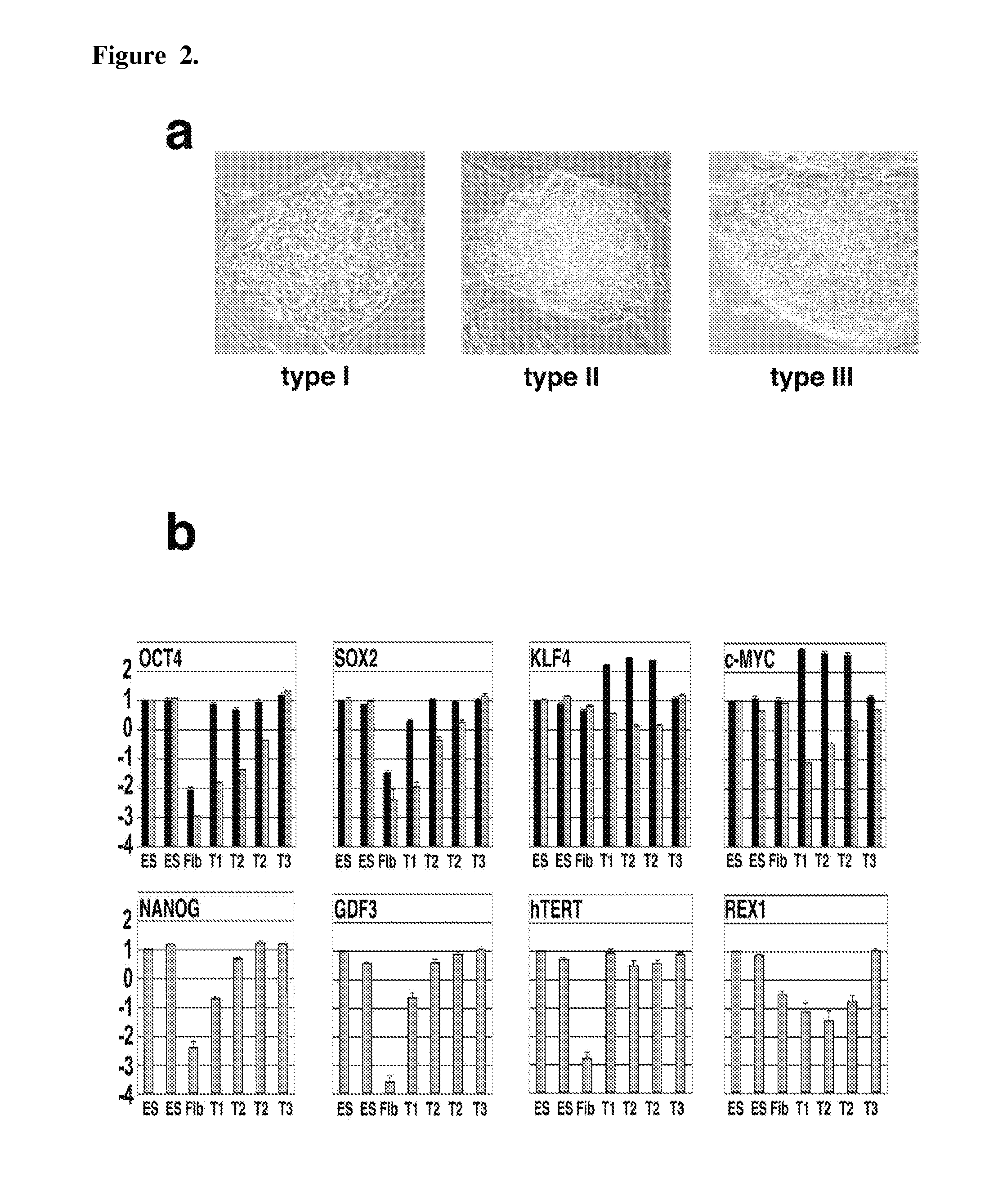 Detection of human somatic cell reprogramming