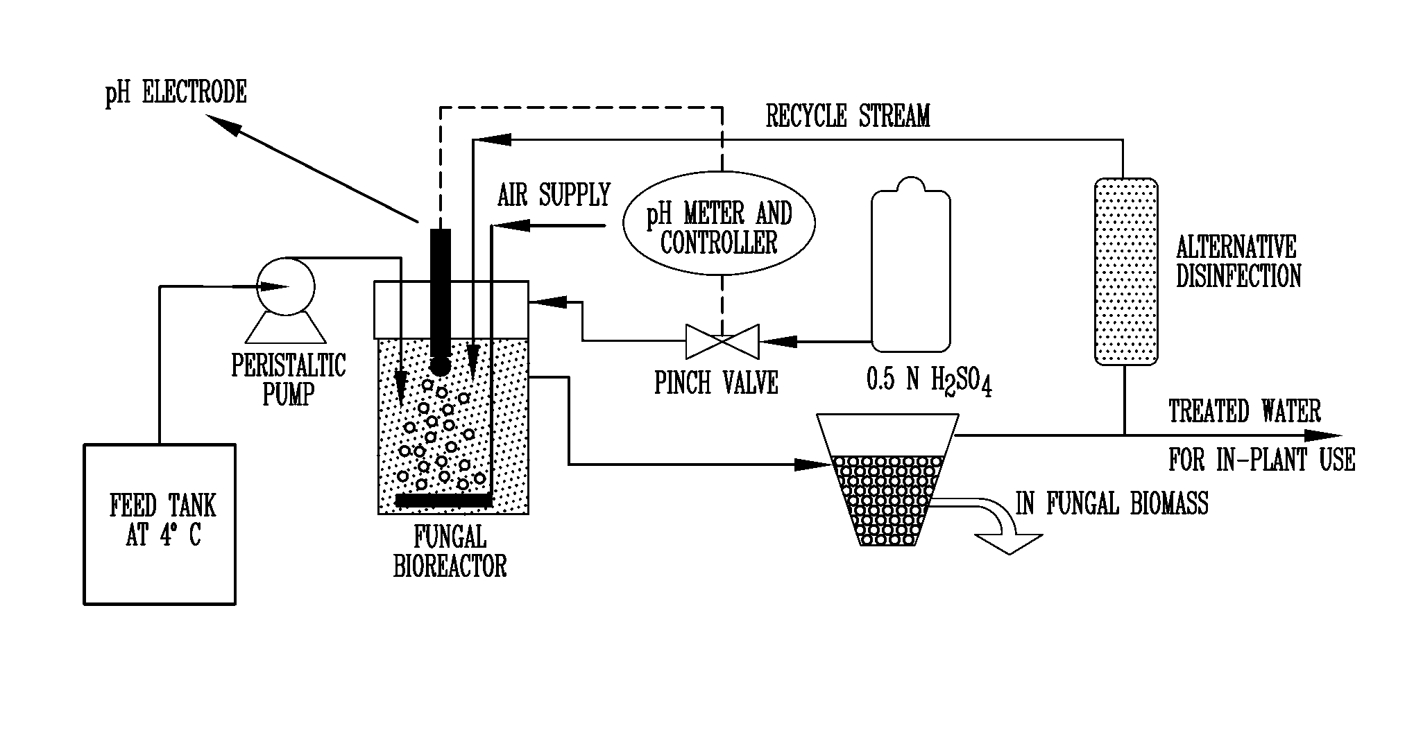 Purification of thin stillage from dry-grind corn milling with fungi