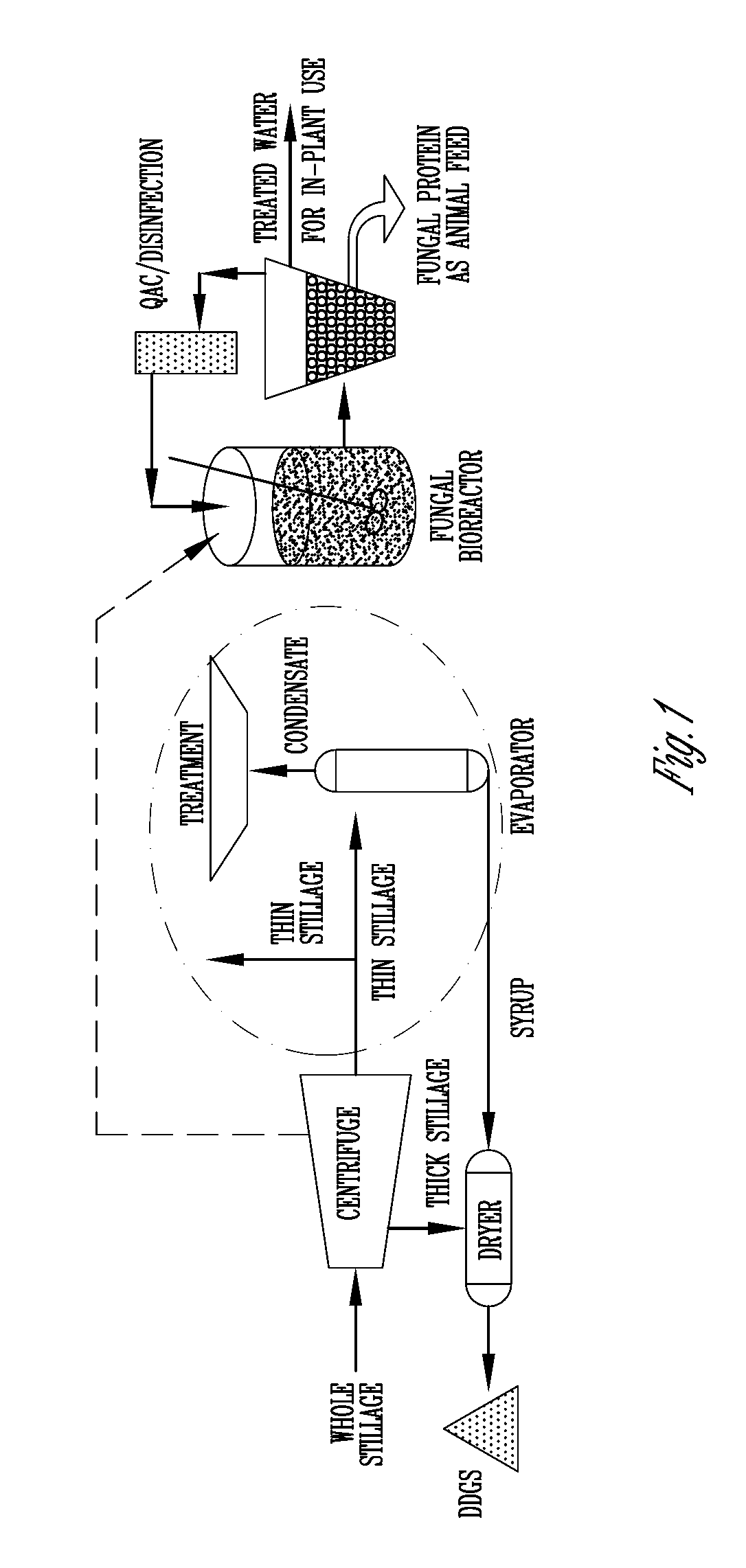 Purification of thin stillage from dry-grind corn milling with fungi