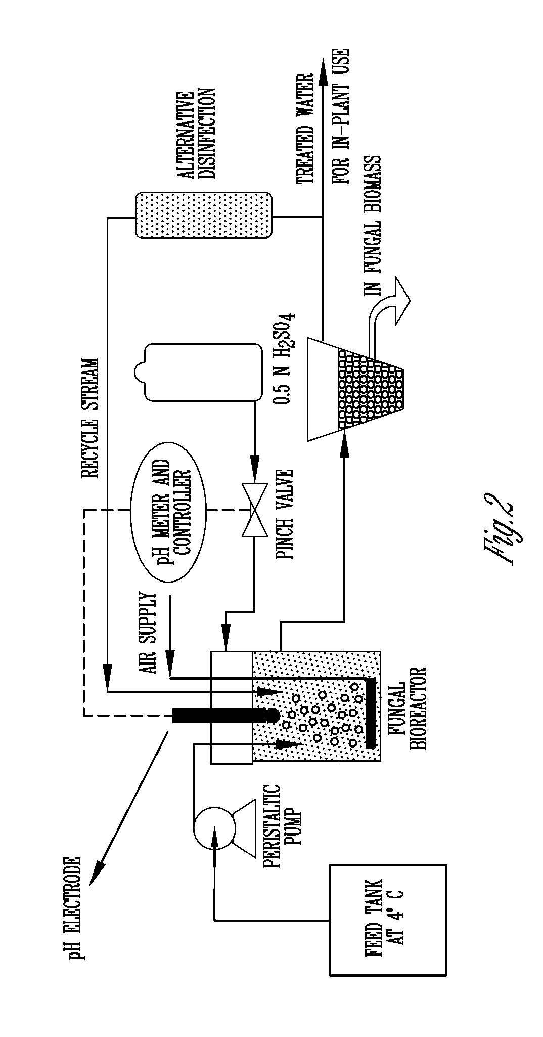 Purification of thin stillage from dry-grind corn milling with fungi