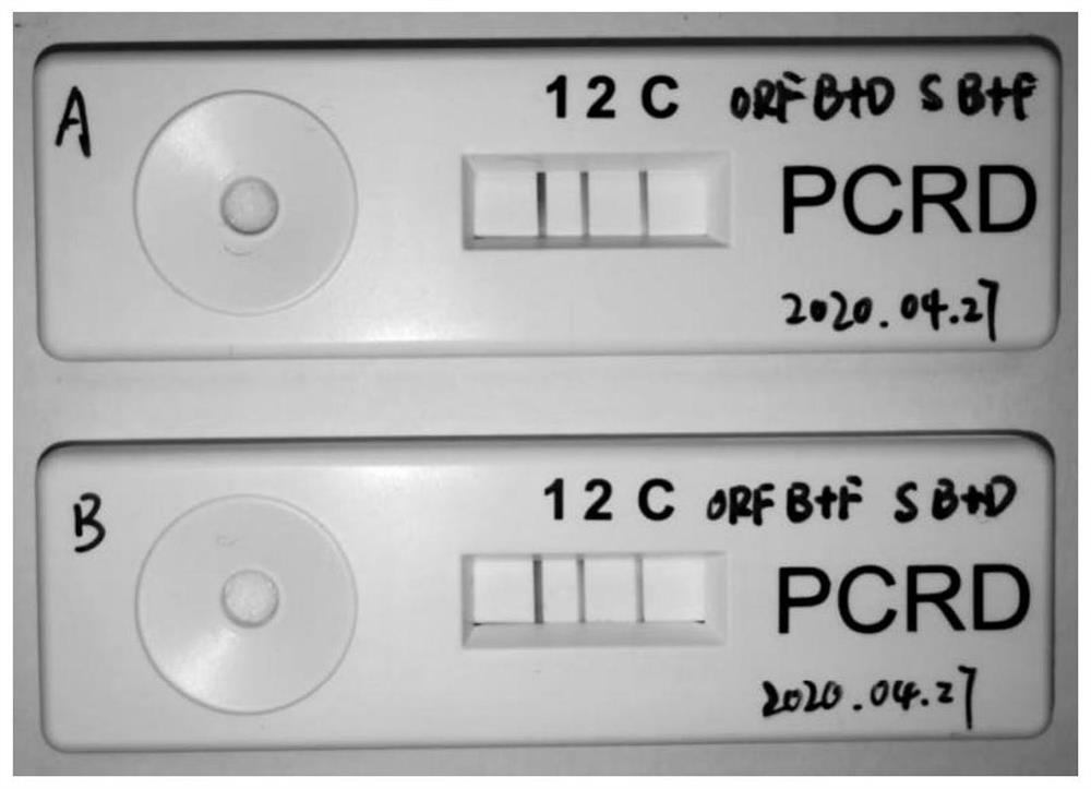 Rapid detection technology of high-sensitivity pathogenic nucleic acid for non-diagnosis and treatment purposes