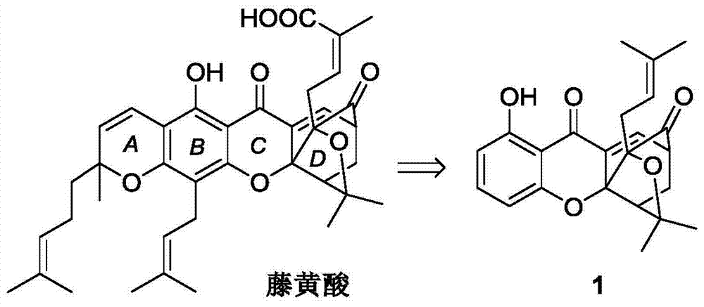 Carbamate bridged ring xanthone derivative, its preparation method and medical use