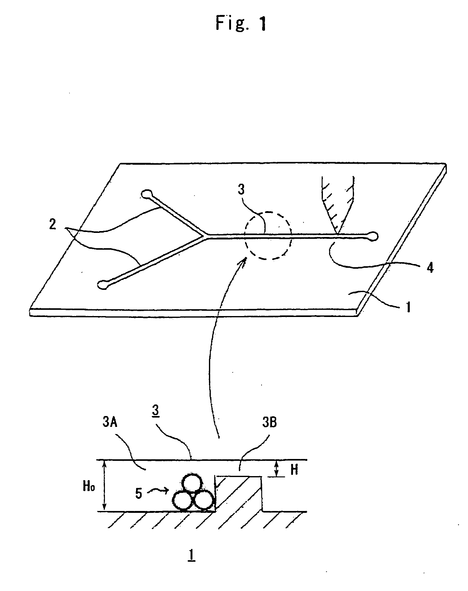 Chip and method for analyzing enzyme immunity