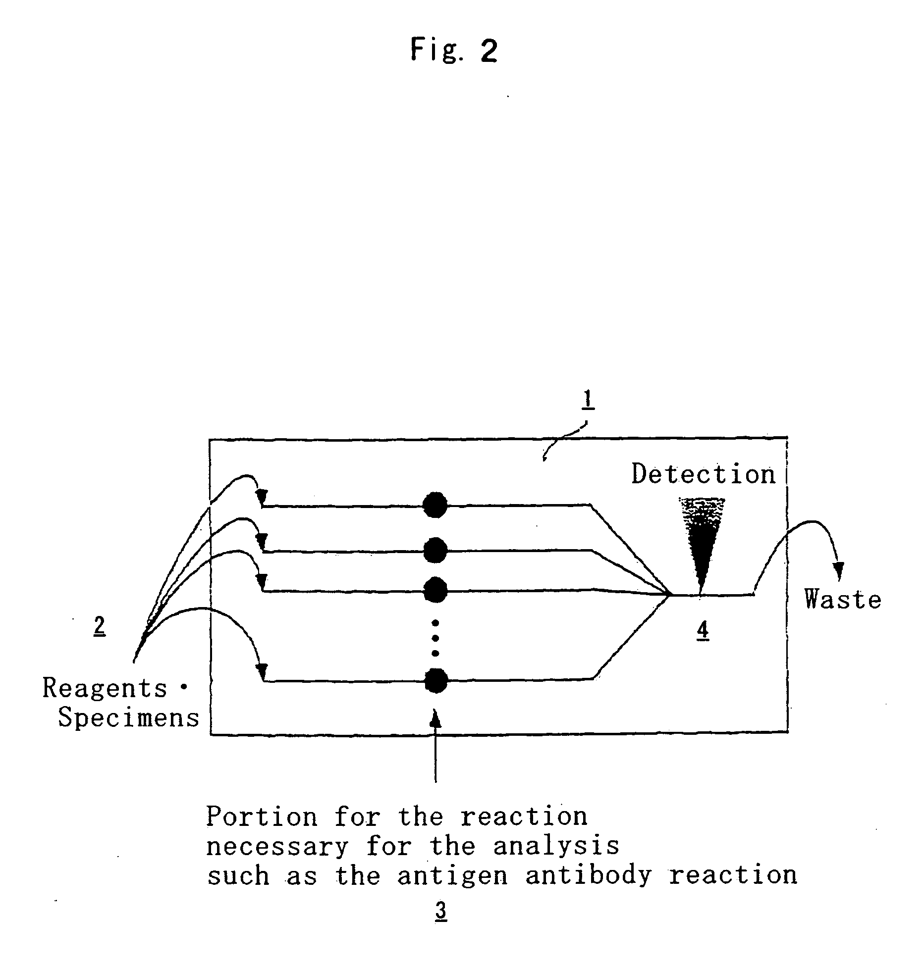 Chip and method for analyzing enzyme immunity