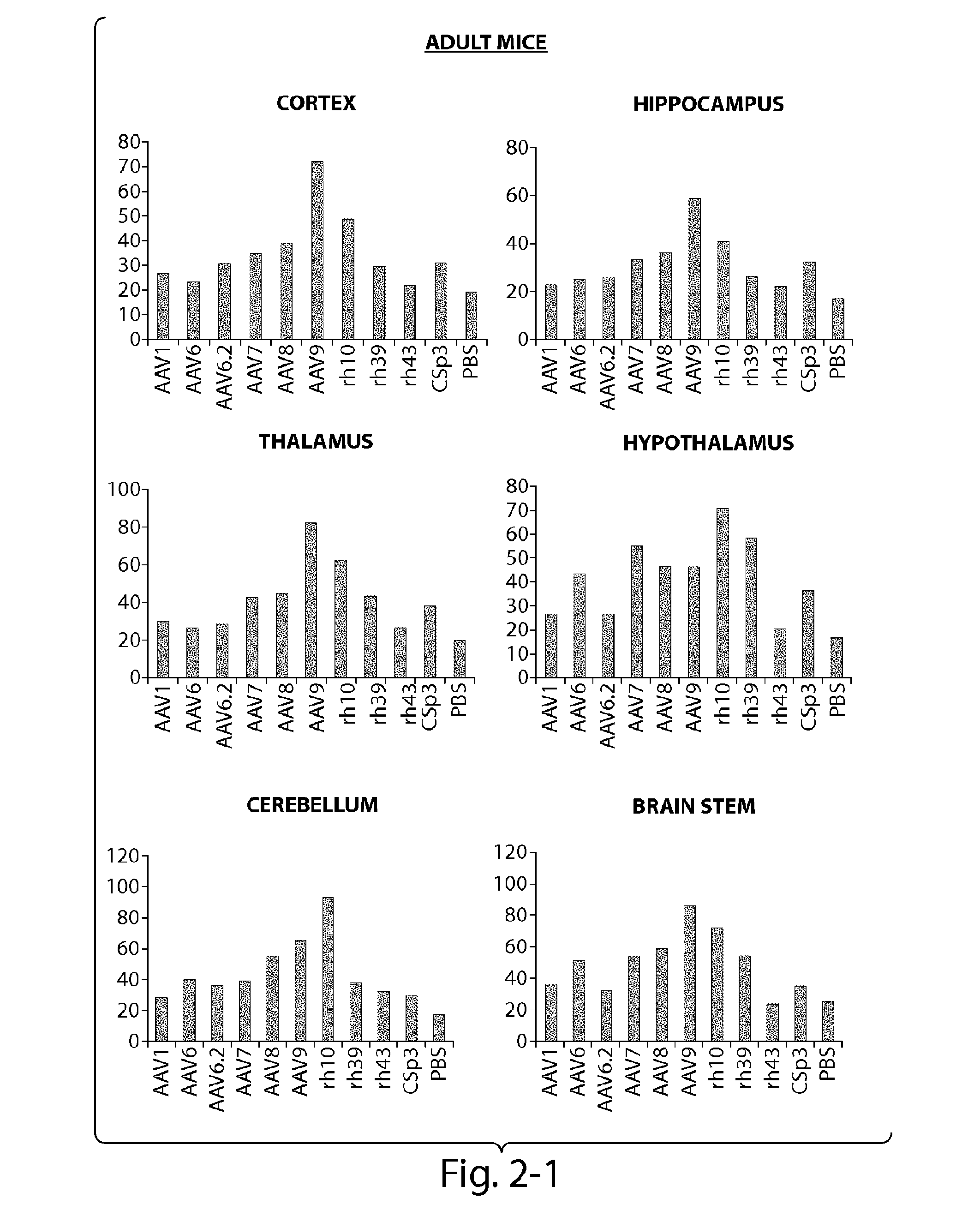 CNS targeting aav vectors and methods of use thereof