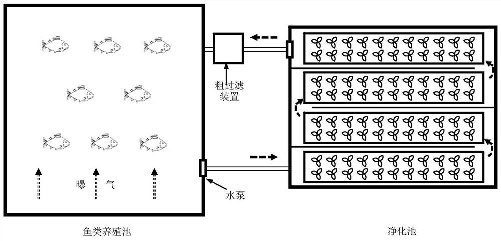 Ecological totally-enclosed circulating mariculture system