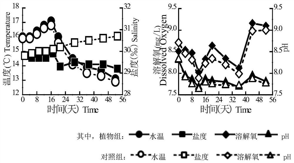 Ecological totally-enclosed circulating mariculture system