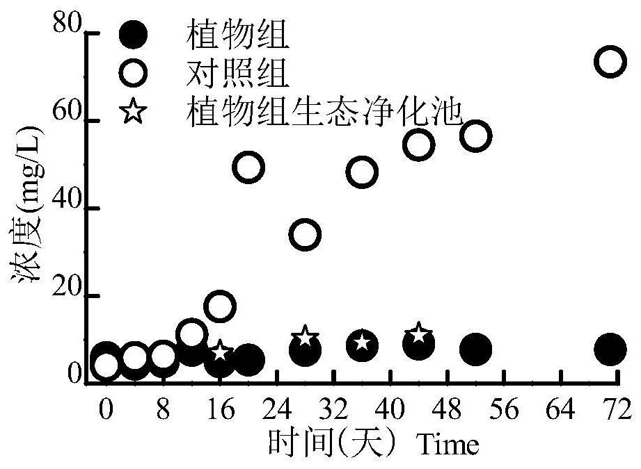 Ecological totally-enclosed circulating mariculture system