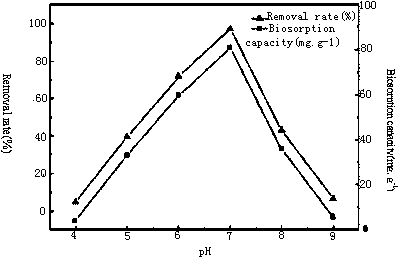 Method for repairing uranium (VI) polluted water body by using fungi treated by nonionic surfactant