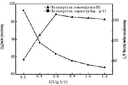 Method for repairing uranium (VI) polluted water body by using fungi treated by nonionic surfactant