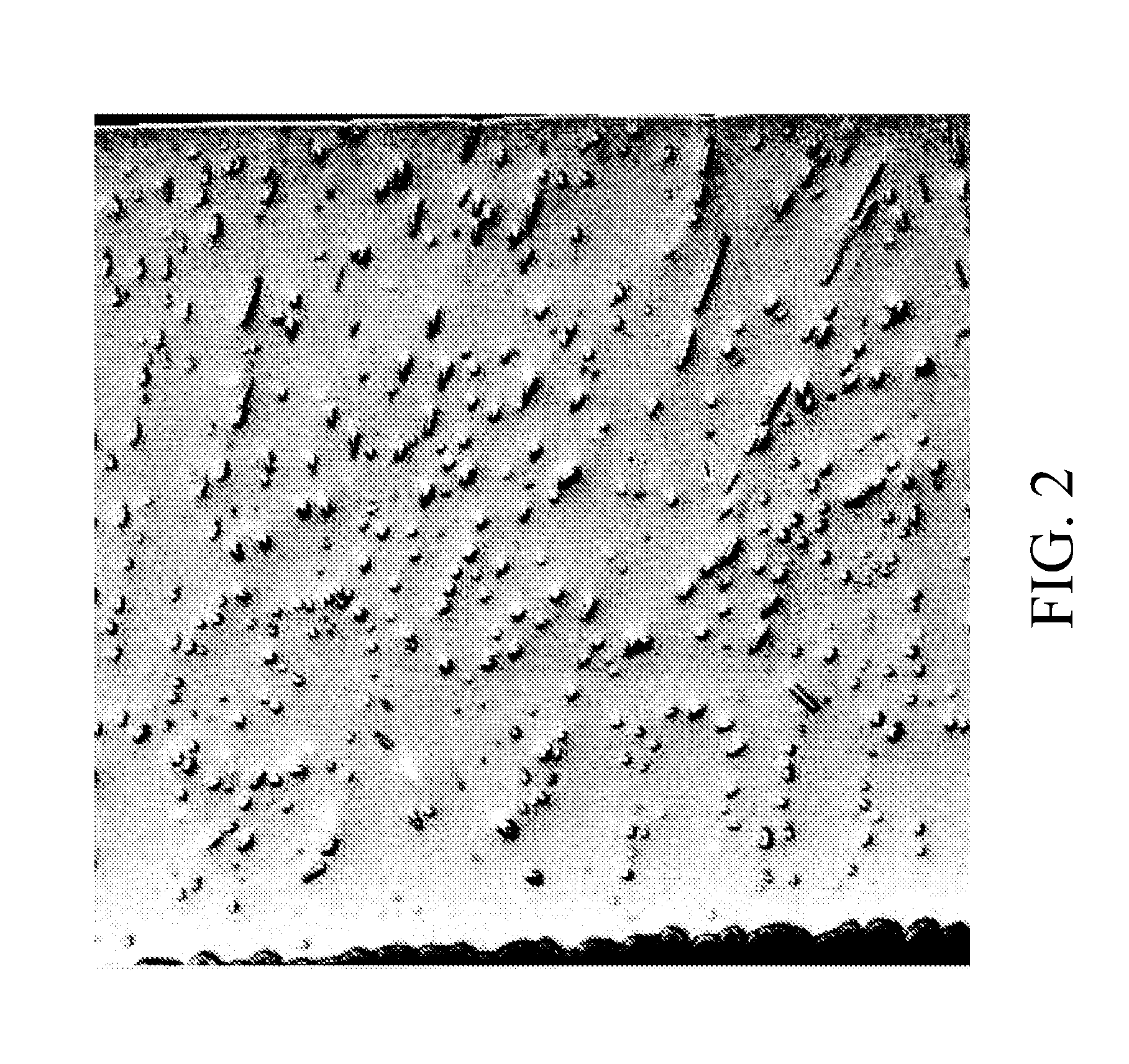 ADDITIVES FOR GRAIN FRAGMENTATION IN Pb-FREE Sn-BASED SOLDER