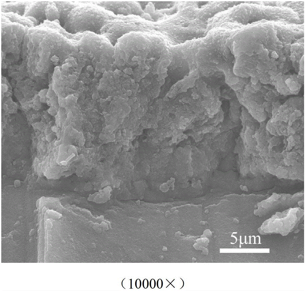 Process for preparing compact magnesium oxide/hydroxyapatite nano fiber double-layer coating on surface of magnesium base