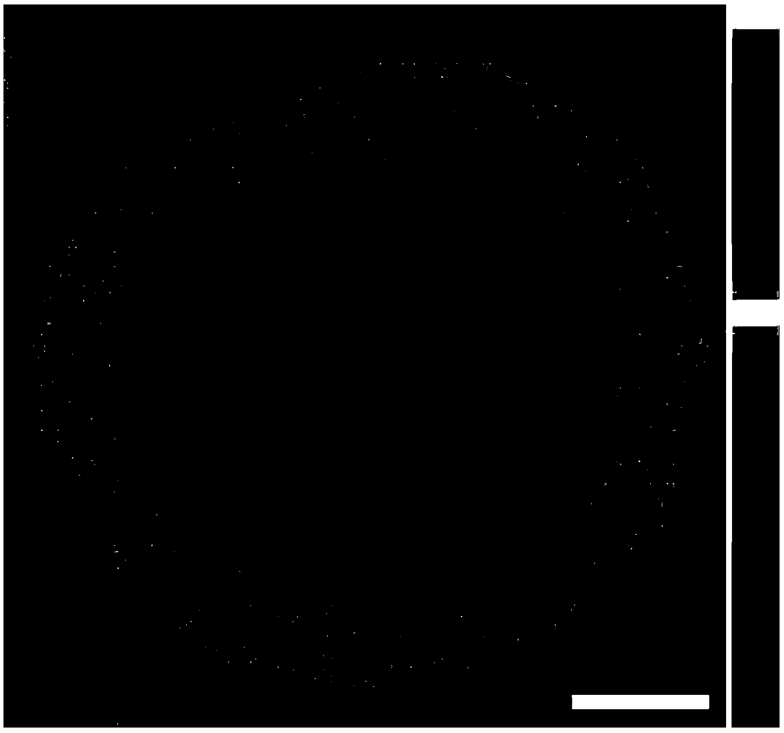 Preparation method of palladium-lead bimetallic catalyst with eggshell structure