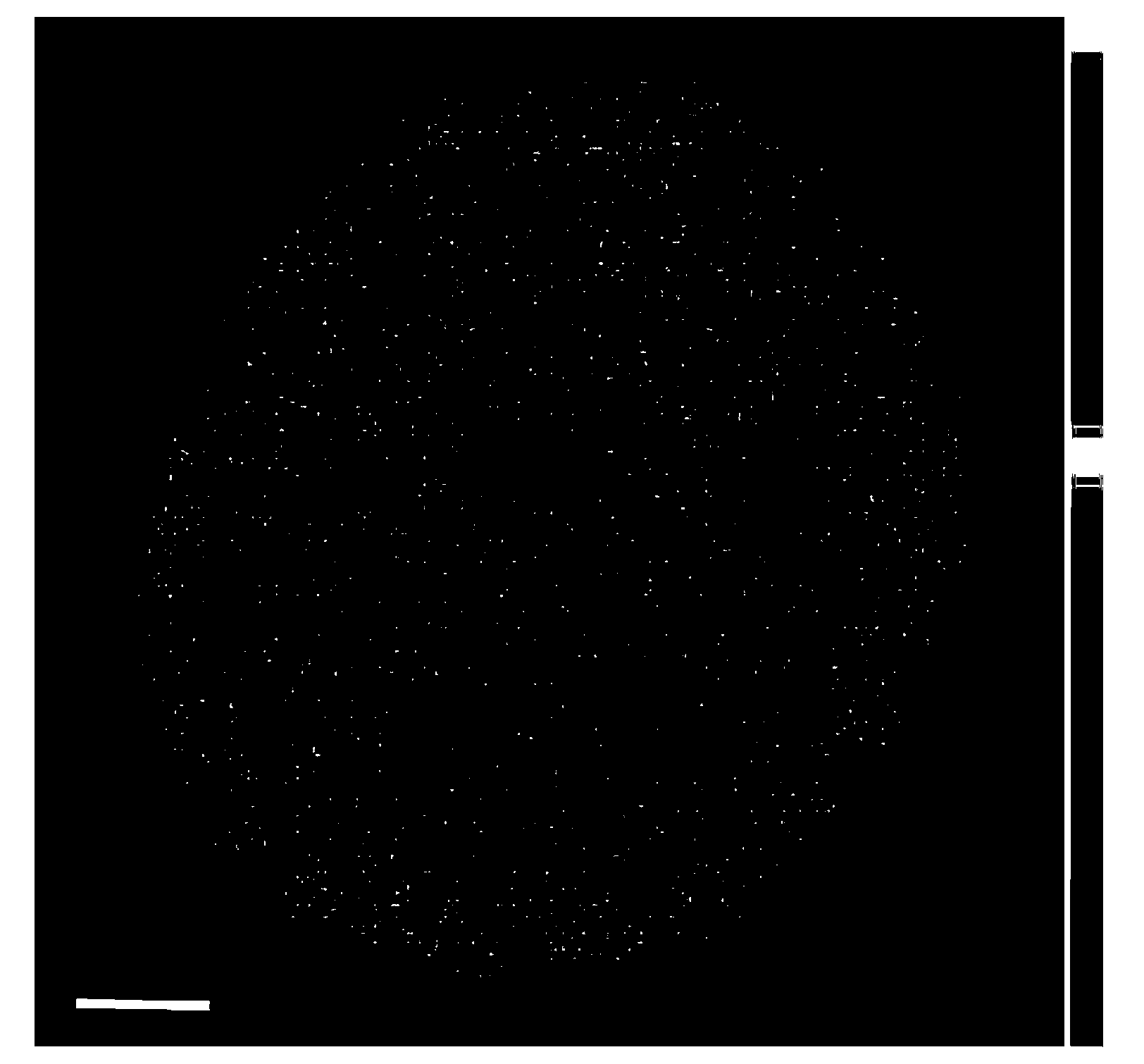 Preparation method of palladium-lead bimetallic catalyst with eggshell structure