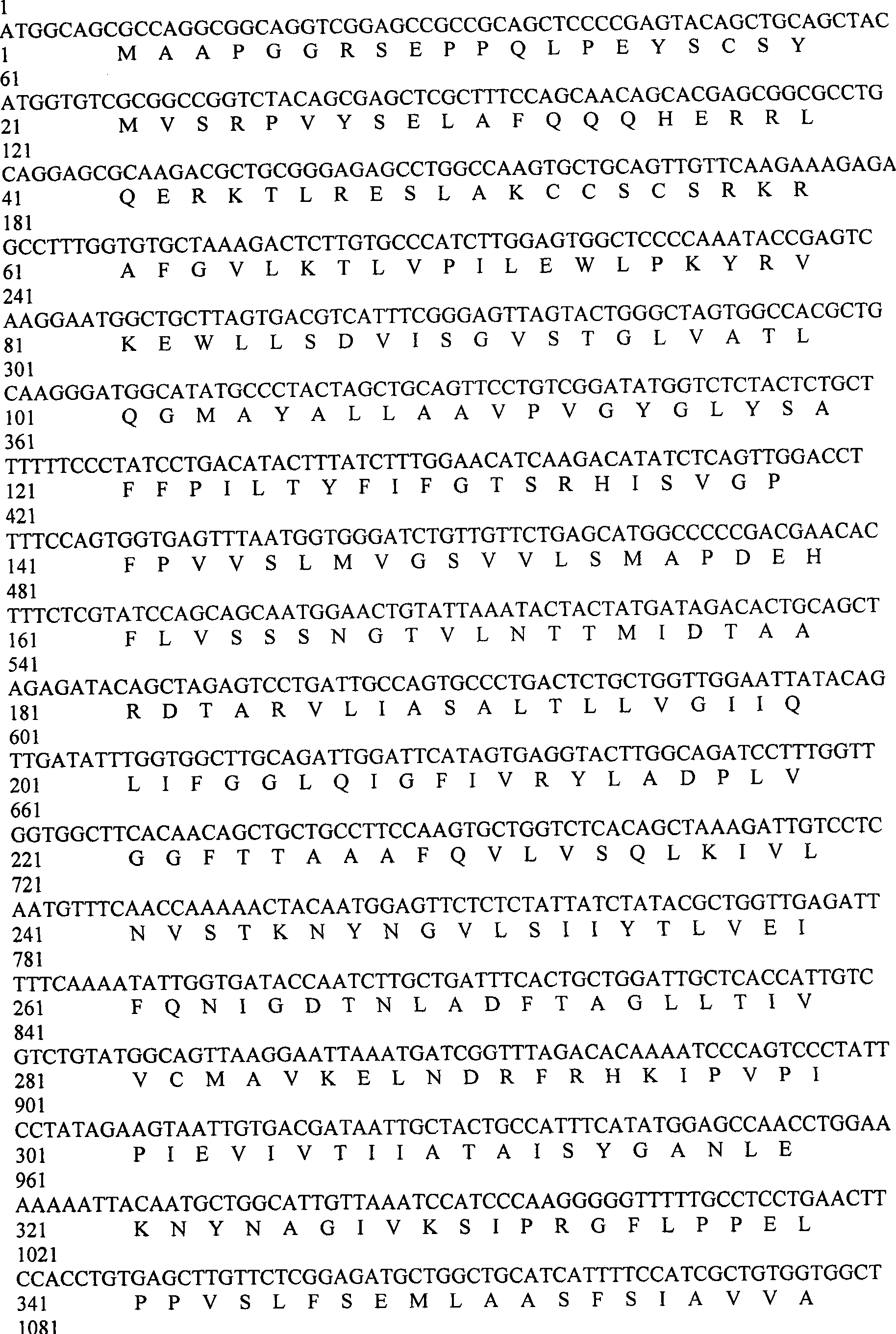 Reagent case for detecting 1336C &gt;T mutation of large vestibular aqueduct related gene SLC26A4