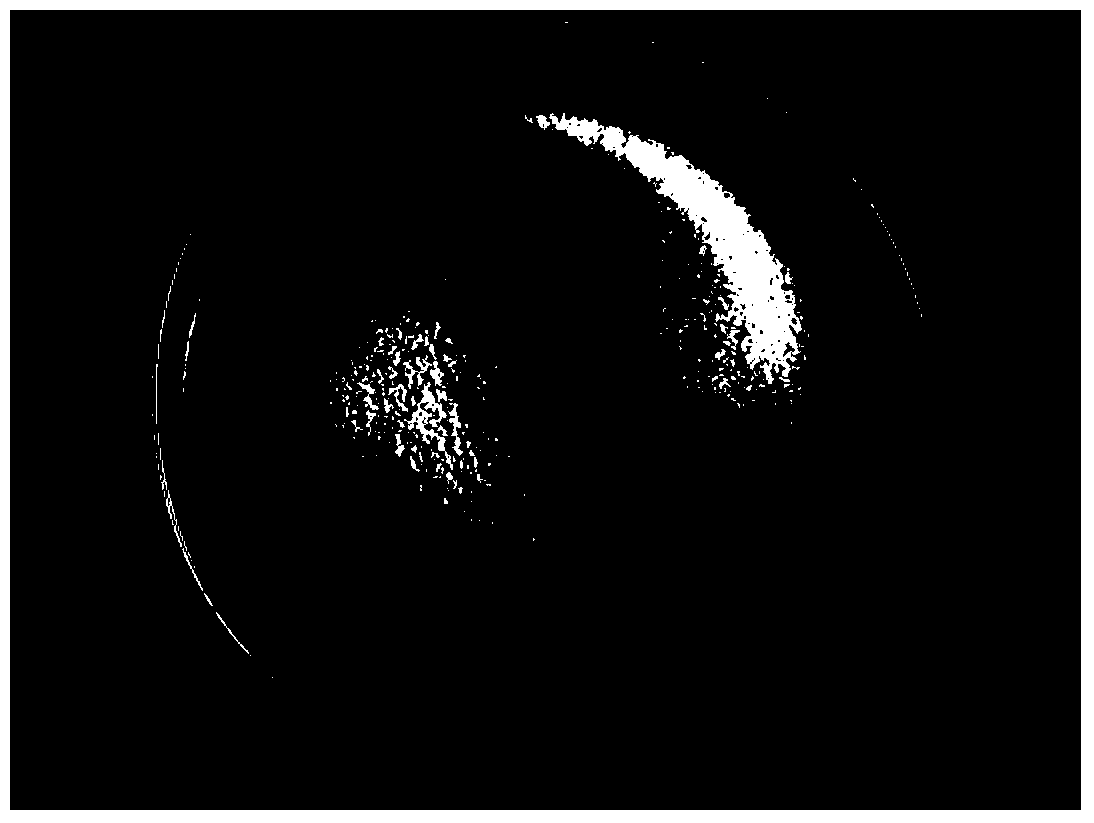 A kind of preparation method of Maillard reaction product particles of tobacco leaf extract