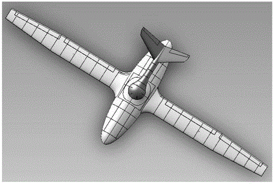 Multi-scale aeronautical meteorological platform