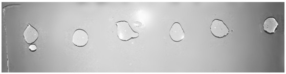 A kind of preparation method of hrp imprinted hydrogel