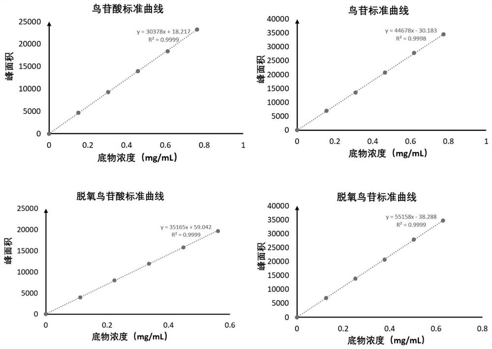 Probiotic strain for reducing blood uric acid, composition and application of the probiotic strain