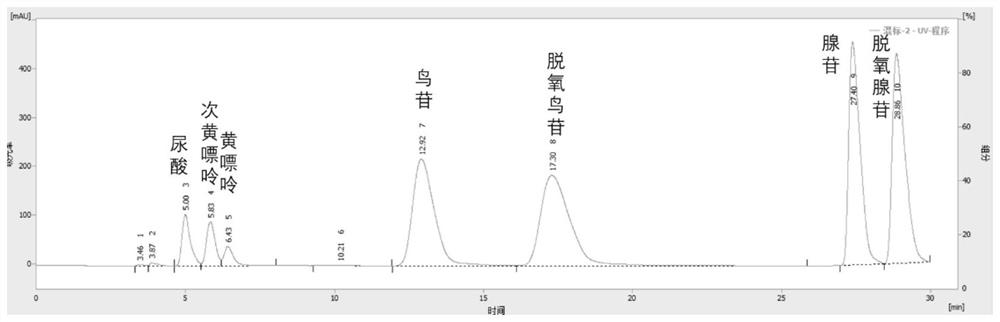 Probiotic strain for reducing blood uric acid, composition and application of the probiotic strain