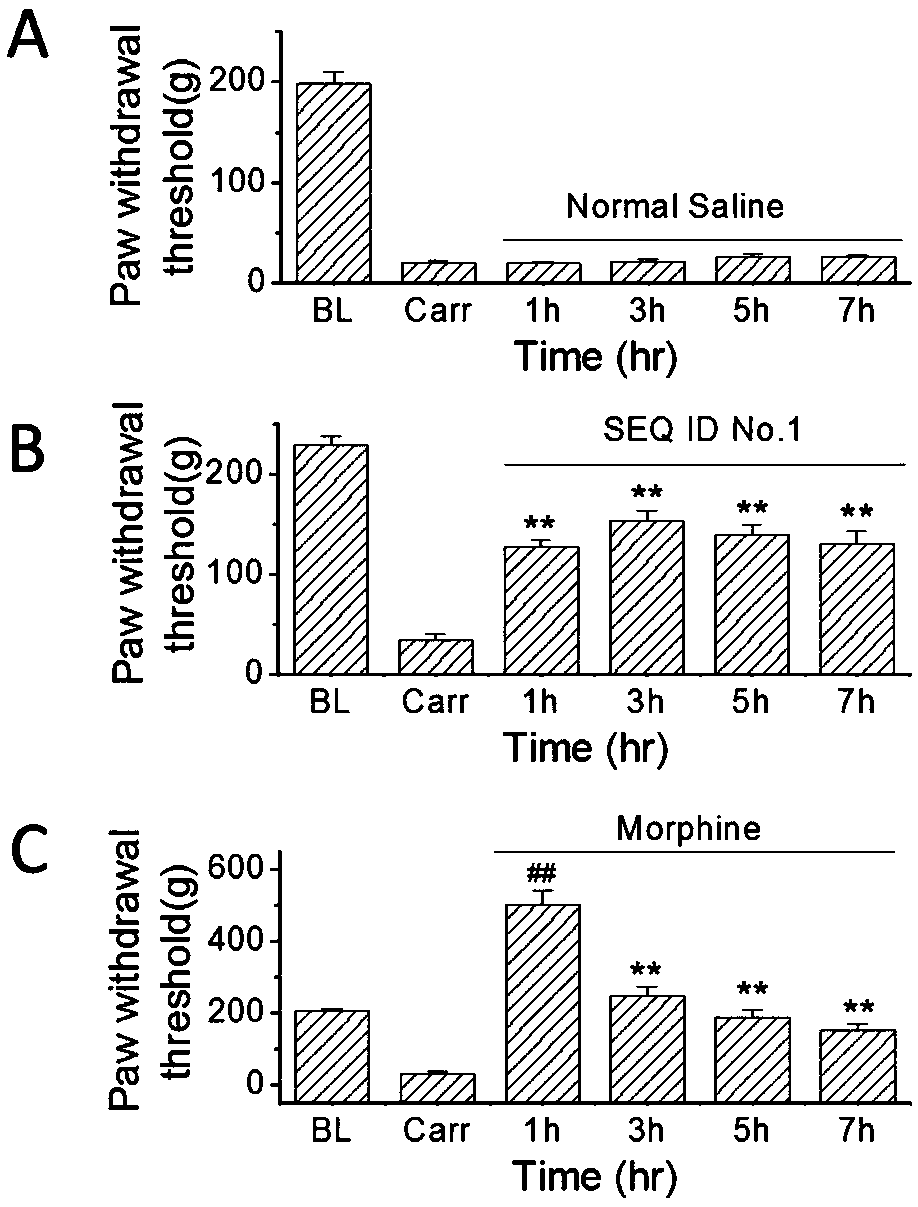 A group of peptides with analgesic effect and their pharmaceutical composition and application