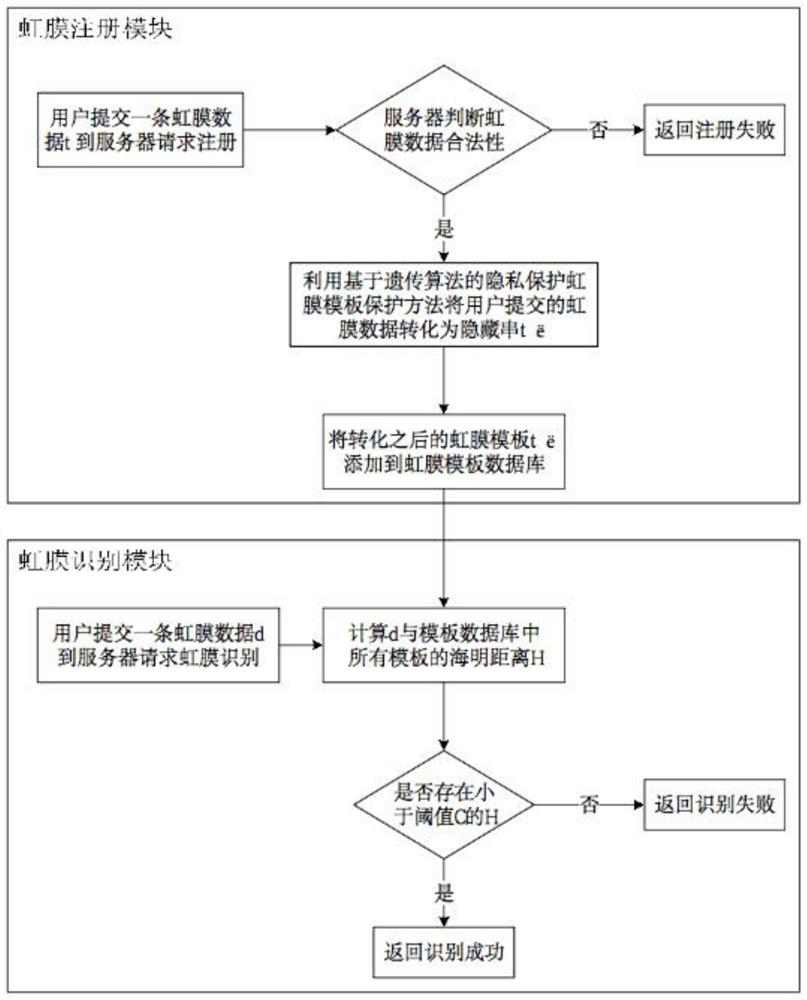 Privacy protection iris recognition method and system based on genetic algorithm