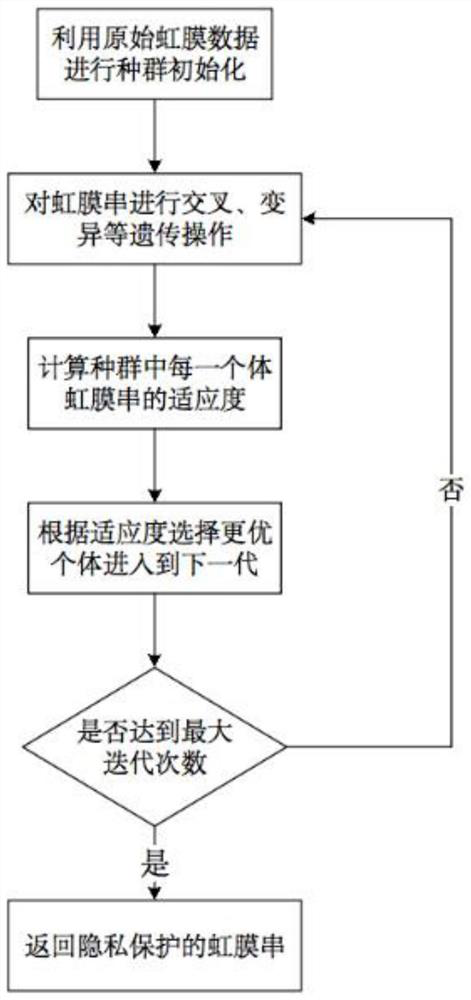 Privacy protection iris recognition method and system based on genetic algorithm