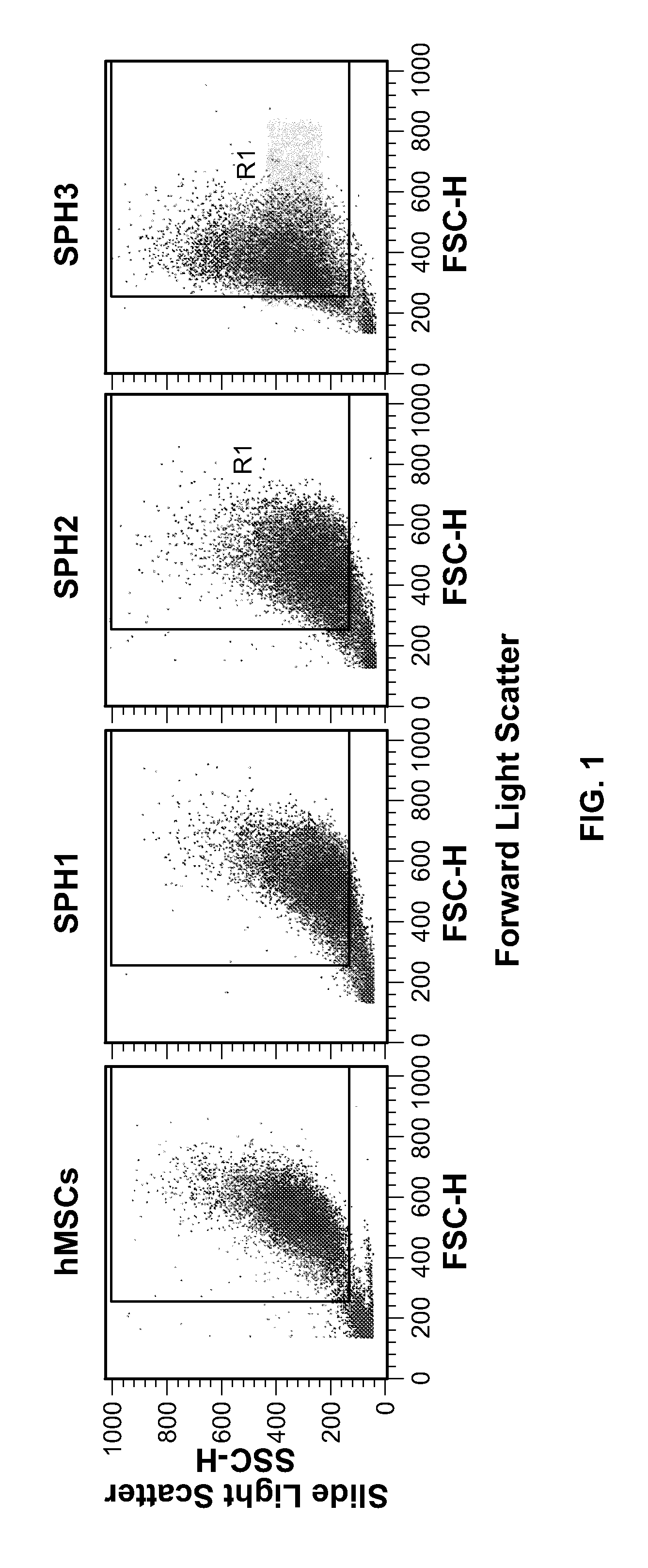 Homing in mesenchymal stem cells