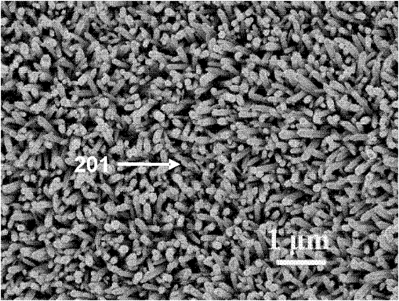 Hierarchical micro-nanostructure omentum based light-operated oil-water separator and its application method