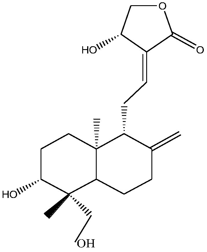 Application of andrographolidume to preparation of health care product or medicine for preventing or/and treating muscle injury