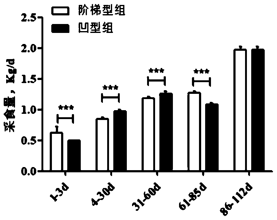 Guangdong small-ear spotted pig gestation period feeding method for promoting development of offspring muscle