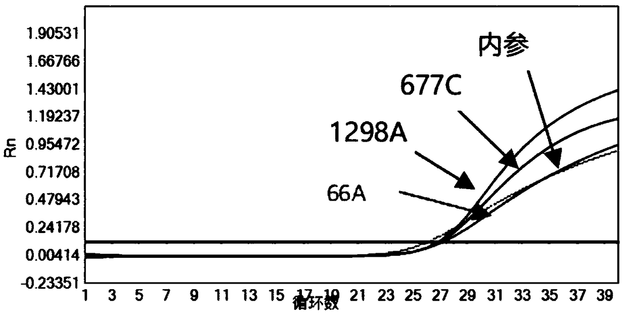 Kit for rapid and simultaneous detection of MTHFR and MTRR gene polymorphisms and method thereof