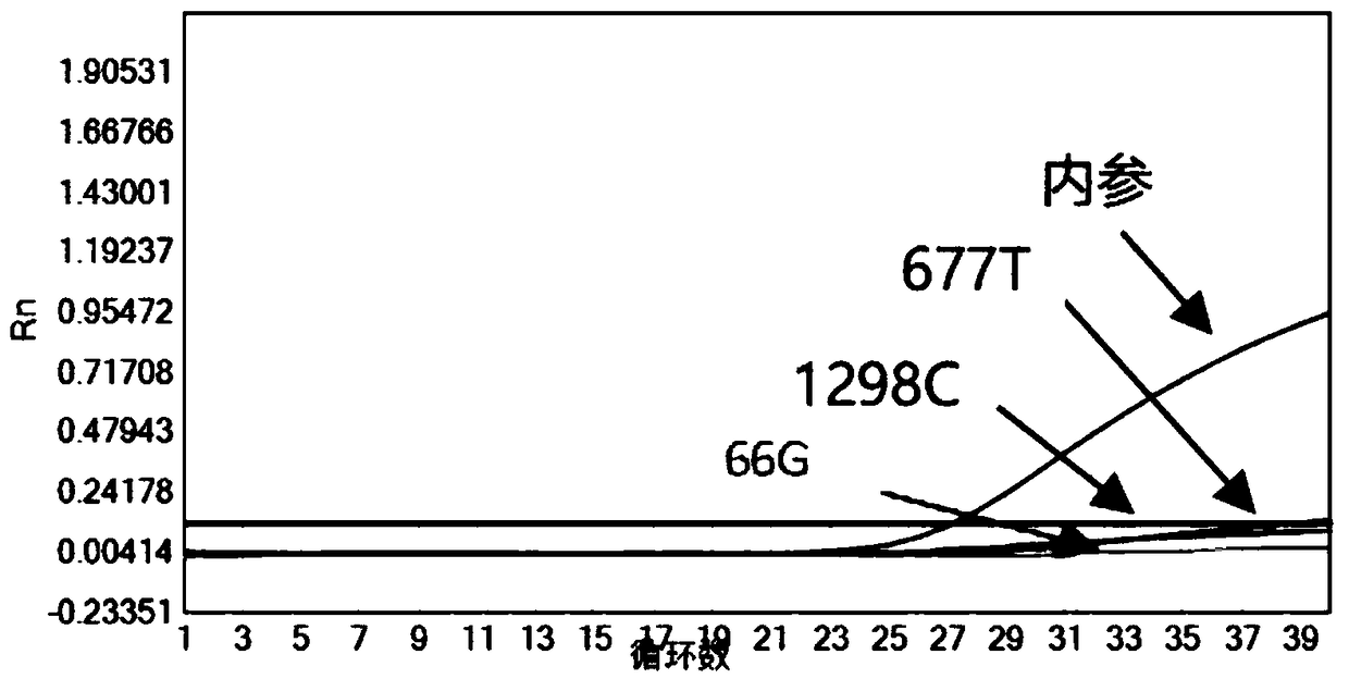 Kit for rapid and simultaneous detection of MTHFR and MTRR gene polymorphisms and method thereof