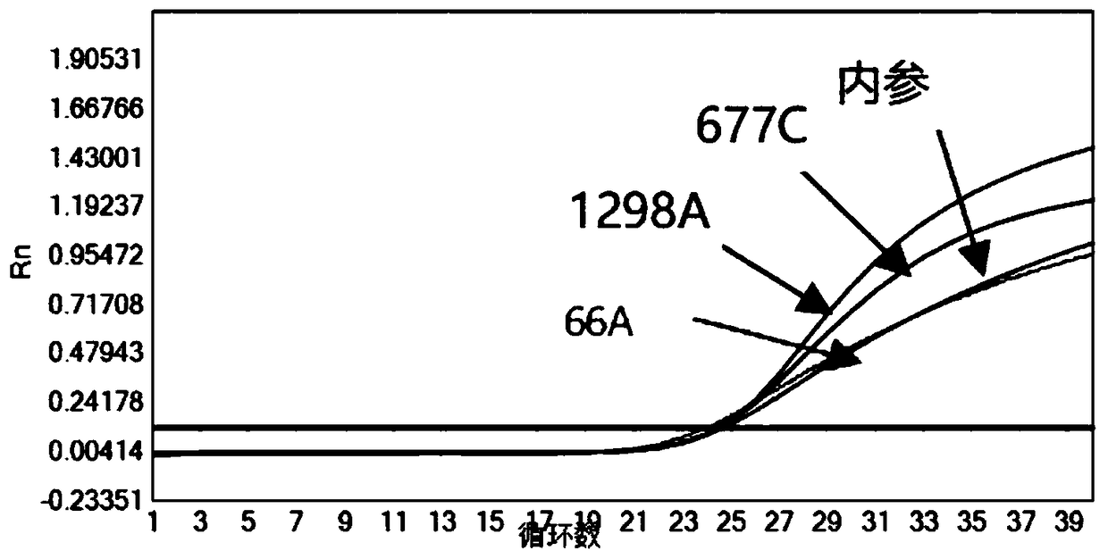 Kit for rapid and simultaneous detection of MTHFR and MTRR gene polymorphisms and method thereof