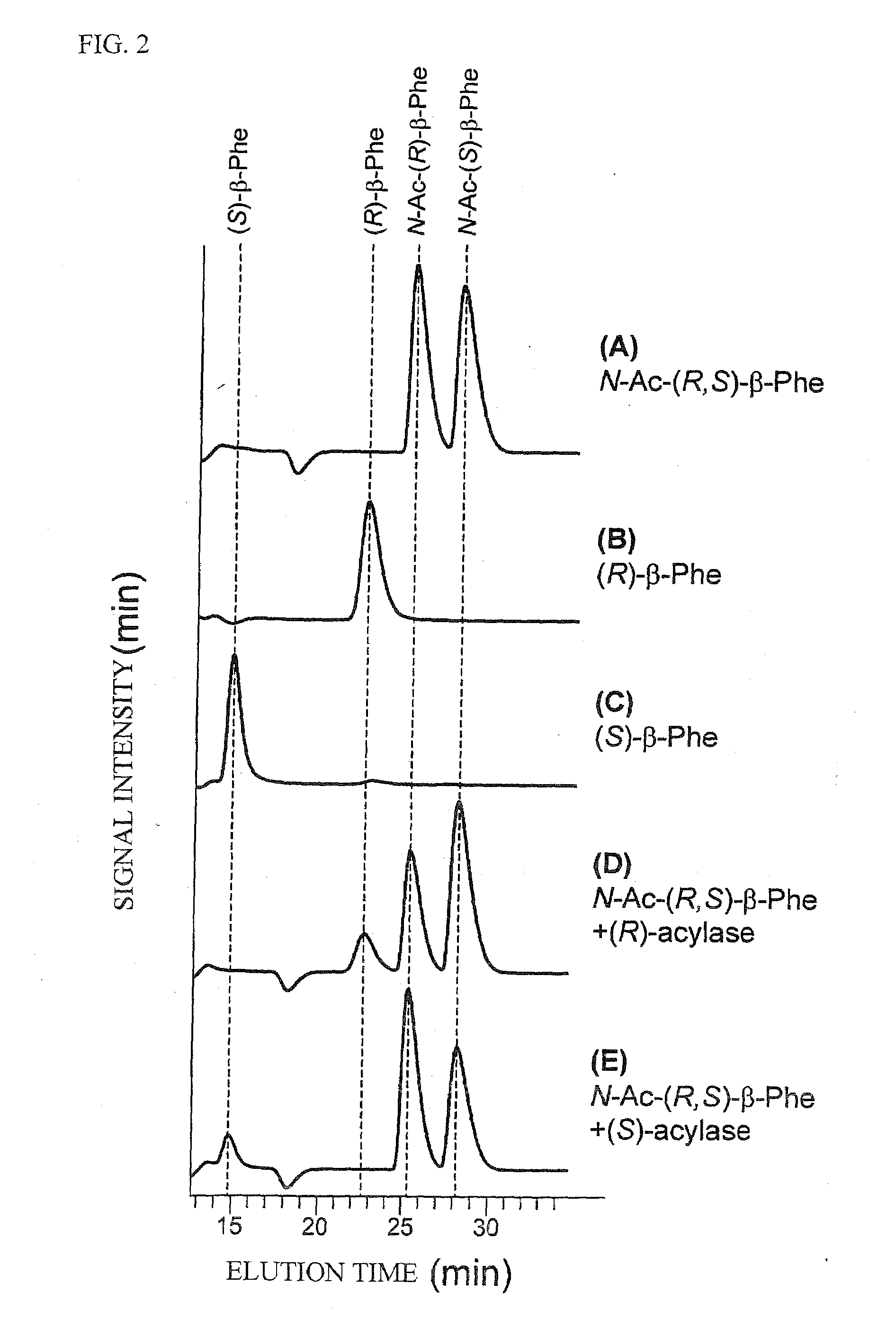 N-Acetyl-(R,S)-beta-Amino Acid Acylase Gene