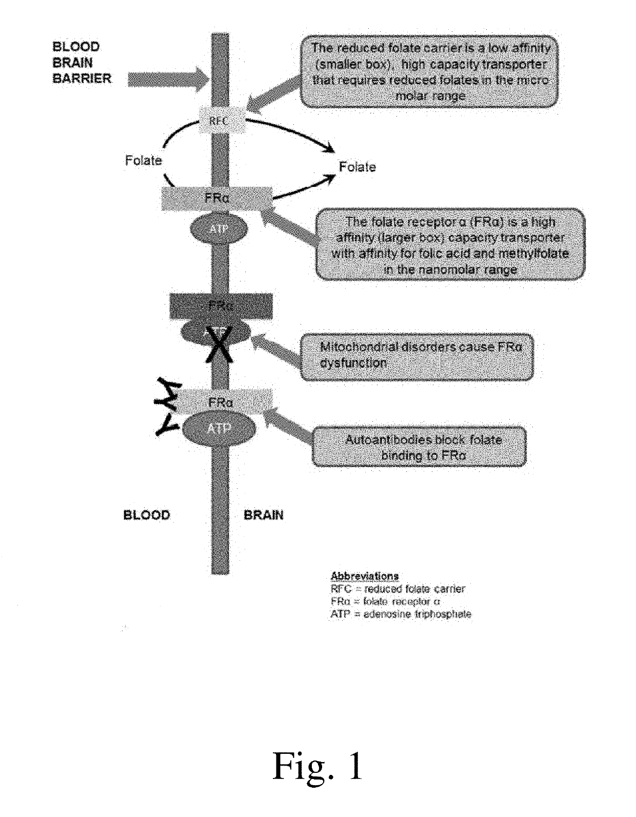 Compositions and methods for treating autism spectrum disorder