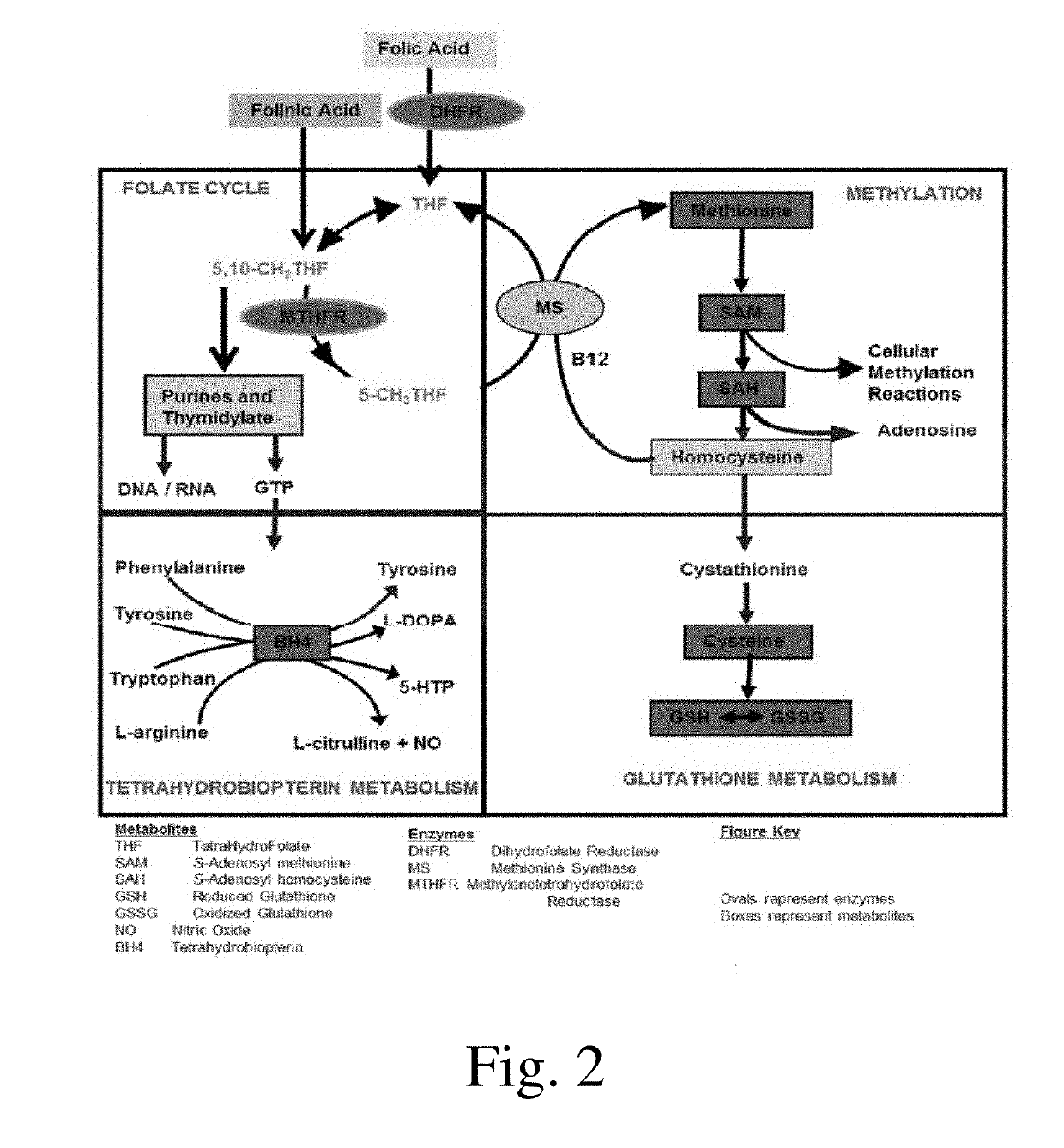 Compositions and methods for treating autism spectrum disorder