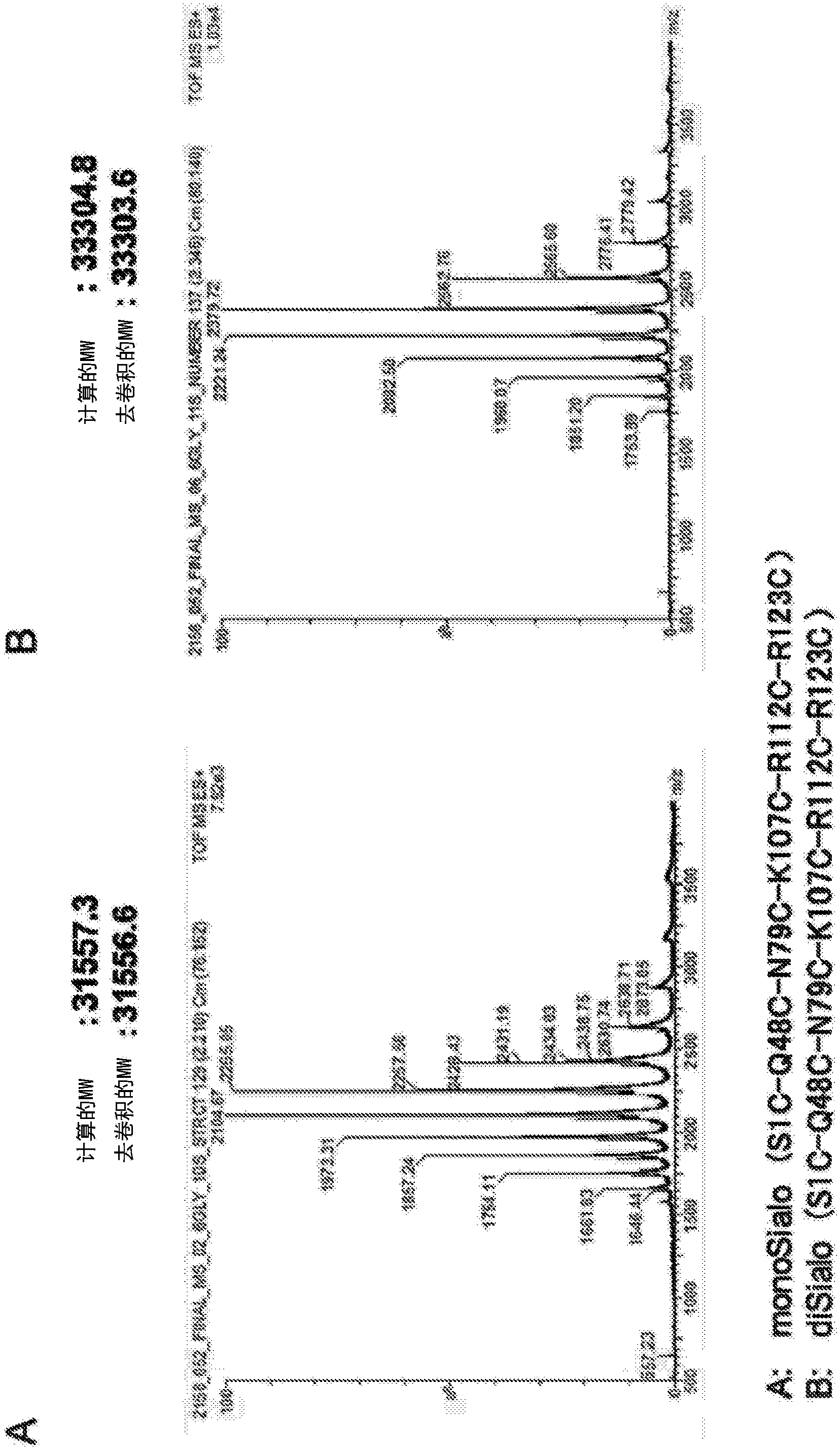 Polypeptide having sialylated sugar chains attached thereto