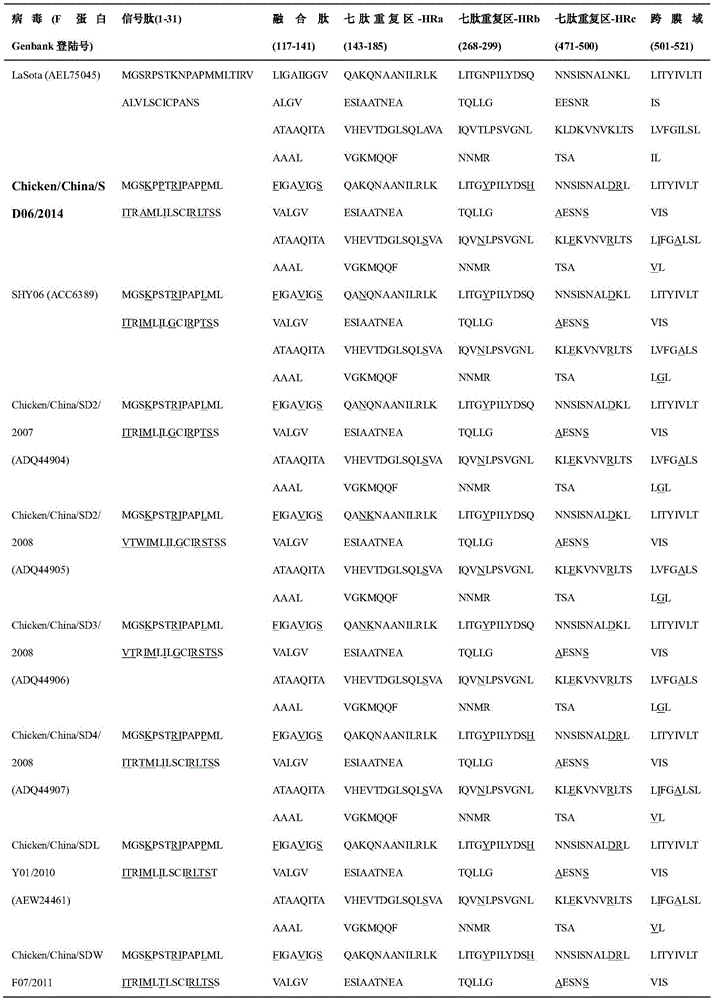 Isolation, identification and purification method and application of gene VII type Newcastle disease virus strain