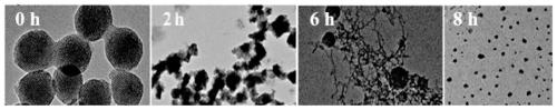 PH response type degradable intelligent corrosion inhibitor, preparing method and application of PH response type degradable intelligent corrosion inhibitor