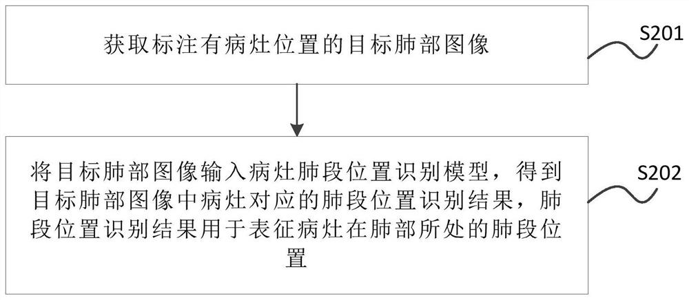 Focus lung segment position identification method and device, storage medium and electronic equipment