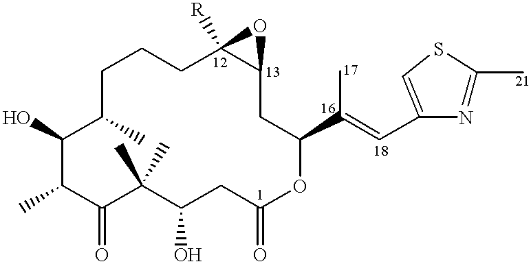 Epothilone derivatives and their use as antitumor agents