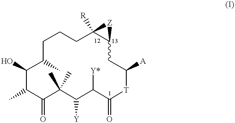 Epothilone derivatives and their use as antitumor agents